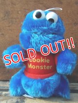 ct-130521-39 Cookie Monster / Hasbro Plush doll