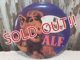 pb-140114-14 ALF / 80's Pinback "No Problem!"