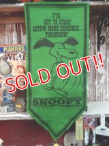 ct-140211-06 PEANUTS / 60's Banner "Snoopy" Green