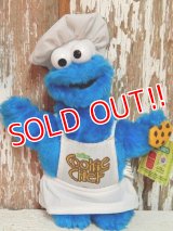 ct-140916-97 Cookie Monster / Nanco 2004 Plush Doll