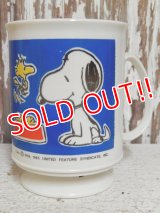 ct-150206-07 Snoopy / 70's-80's Plastic Mug