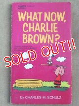 bk-131029-01 PEANUTS / 1972 Comic "WAHT NOW,CHARLIE BROWN?"