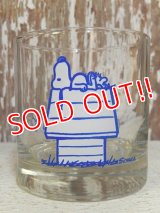 gs-160519-01 Snoopy / 70's Glass "This has been a good day!"