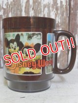 ct-160716-07 Walt Disney World / 70's Plastic Mug