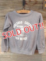 dp-170305-04 Vintage Kid's Sweat "Carlsbad Caverns National Park"