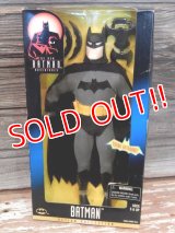 ct-170501-23 BATMAN Adventures / 1997 Kenner 12 " Action Collection Figure