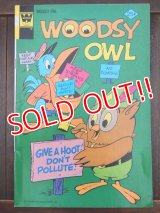 bk-170511-15 Woodsy Owl / Whitman 1974 Comic