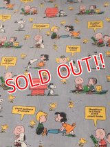 ct-170601-12 PEANUTS / 1970's Flat Sheet (Twin)