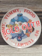 ct-170605-18 Sesame Street / 1980's Plastic Plate