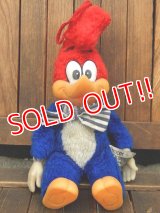 ct-171201-02 Woody Woodpecker / 1982 Plush Doll