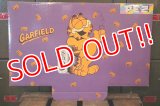 pz-130917-04 PEZ / Store Display Header Card "Garfield"