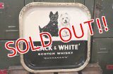 dp-180801-44 Black & White Scotch Whisky / Vintage Tin Tray