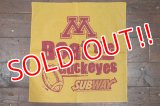 dp-180801-109 Michigan Wolverines × SUBWAY / 2007 Bandana