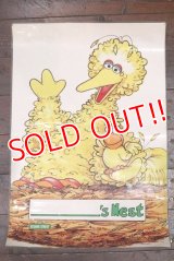 ct-180901-193 Big Bird / 1990's Poster