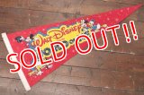 ct-190605-71 Walt Disney's / World on Ice 1970's Pennant