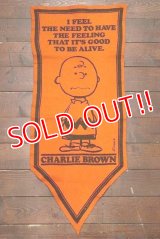 ct-191001-29 PEANUTS / 1960's Banner "Charlie Brown" Orange