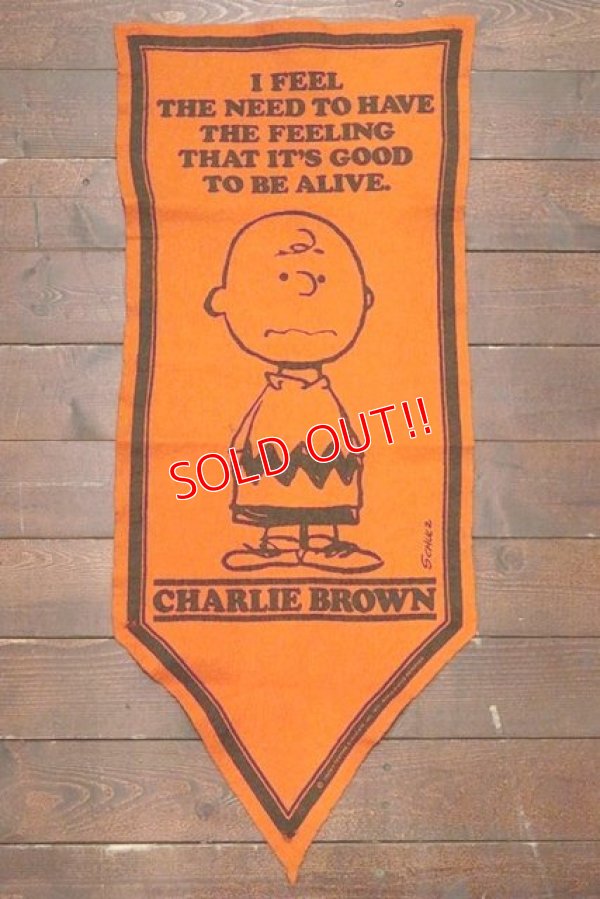 画像1: ct-191001-29 PEANUTS / 1960's Banner "Charlie Brown" Orange