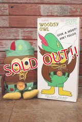 ct-200201-22 Woodsy Owl / Amway 1970's Teach 'N' Play Pre-School Toy