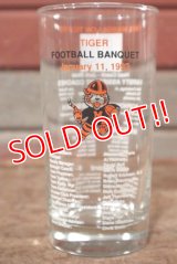 gs-200901-06 Massillon Washington High School / MASSILLON TIGERS 1993 Glass