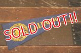 dp-210401-106 UNIVERSITY OF CALIFORNIA / Vintage Pennant