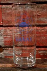 dp-201101-13 Vintage Hawaii Tumbler