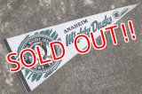 ct-141028-15 ANAHEIM Mighty Ducks / 1990's Pennant