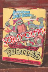 ct-210601-10 TEENAGE MUTANT NINJA TURTLES / Topps 1990 Trading Card Box 2nd Series