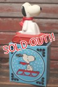 ct-210701-30 Snoopy / AVON 1970's Snow Flyer Bubble Bath Bottle (Box)
