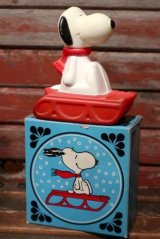 ct-210701-30 Snoopy / AVON 1970's Snow Flyer Bubble Bath Bottle (Box)