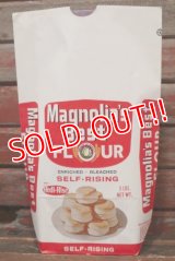 dp-210901-09 Magnolia's Best FLOUR / Vintage Paper Bag