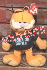 ct-211201-03 Garfield / Ty Beanie Babies 2007 Plush Doll 