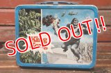 ct-211210-49 King kong / THERMOS 1976 Metal Lunch Box