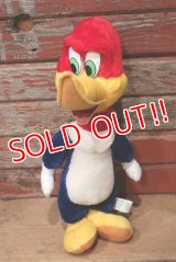 ct-220719-89 Woody Woodpecker / Toy Network 2000 Plush Doll