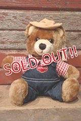 ct-220801-10 Delmonte / Country Yumkin Brawny Bear 1985 Plush Doll