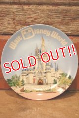 ct-230301-61 Walt Disney World / Late 1970's-1980's Souvenir Plate