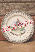 ct-230301-61 Walt Disney World / Late 1970's-1980's Souvenir Plate