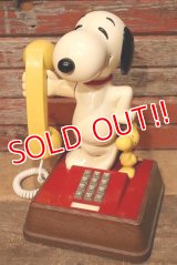 ct-230601-03 Snoopy & Woodstock / 1976 Telephone