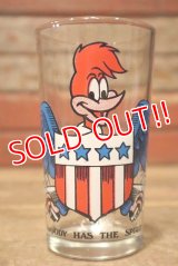 ct-230701-51 Woody Woodpecker / Arby's 1970's Novelty 11oz.Glass