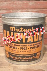 dp-231101-04 Mutual DAIRYADE / 1940's-1950's Galvanized Bucket