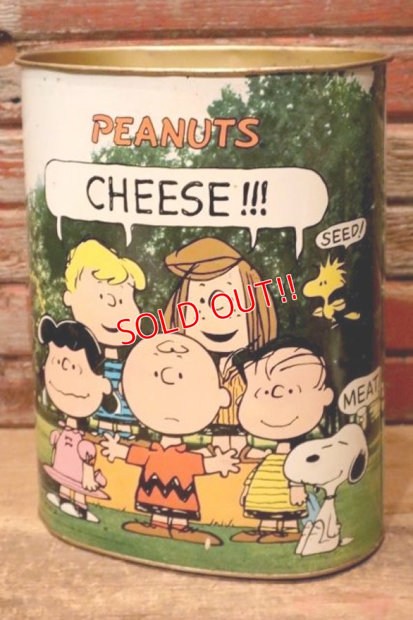 画像1: ct-240101-12 PEANUTS / CHEINCO 1960's-1970's Trash Can