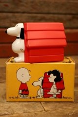 ct-210701-19 Snoopy and Doghouse / AVON 1970's Non-Tear Shampoo Bottle (Box)