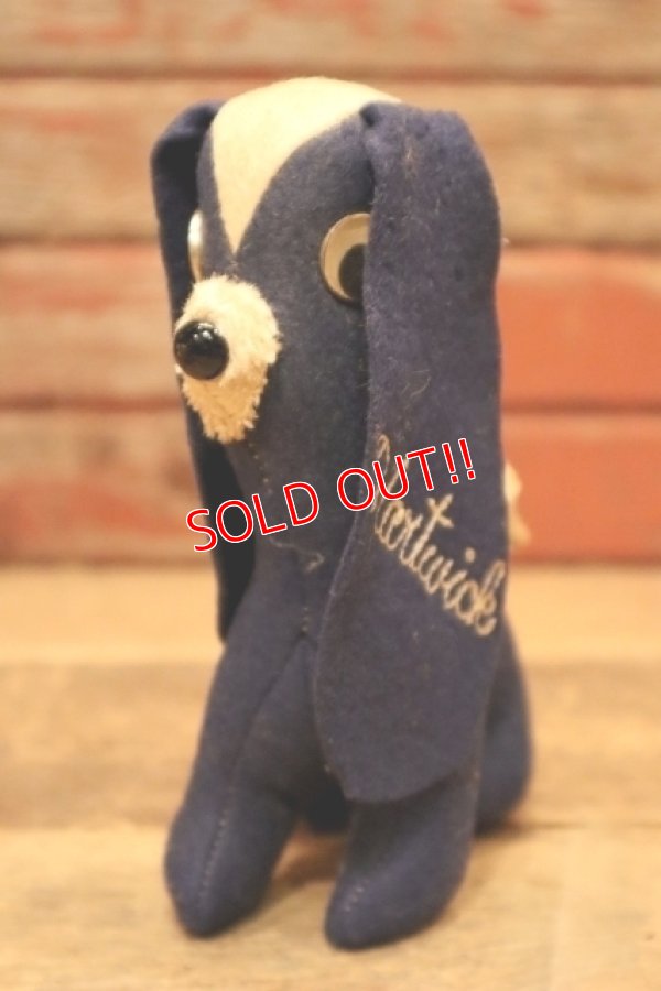 画像1: ct-240311-11 Collegiate 1950's College Mascot Doll "Hartwick"