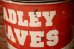 画像7: dp-240623-07 Bradley University・Bradley Braves 1960's-1970's Trash Can