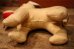 画像13: ct-240311-11 Collegiate 1950's  College Mascot Doll "BYU"