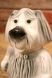 画像2: ct-240604-06 FORD / 1950's-1960's SHAGGY DOG COIN BANK (2)