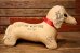 画像3: ct-230414-21 "Get Well Soon" 1950's-1960's Dachshund Message Doll