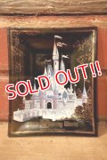 ct-240814-30 Walt Disney World / 1970's Souvenir Glass Tray