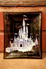 ct-240814-30 Walt Disney World / 1970's Souvenir Glass Tray