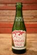 画像1: dk-042 SPARKLING DRY GINGER ALE / 1960's 7 FL.OZ Bottle (1)