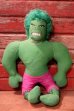 画像1: ct-241008-20 The Incredible Hulk / Knickerbocker 1978 Plush Doll (1)